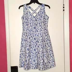 Lord & Taylor | Blue and white printed dress